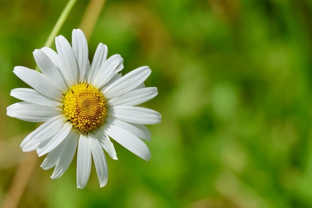 Planung und Ablauf in der Dokumentarfotografie für gesellschaftliche Veränderungen